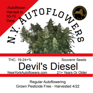 Devil's Diesel